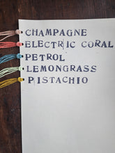 Load image into Gallery viewer, Carnival Earrings