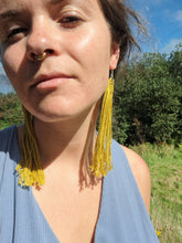 Load image into Gallery viewer, Carnival Earrings