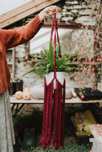 Load image into Gallery viewer, The Hula Hanger