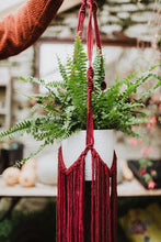 Load image into Gallery viewer, The Hula Hanger