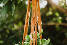 Load image into Gallery viewer, The Sunburst Hanger