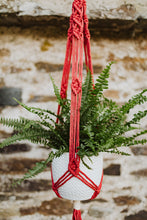 Load image into Gallery viewer, The Sunburst Hanger