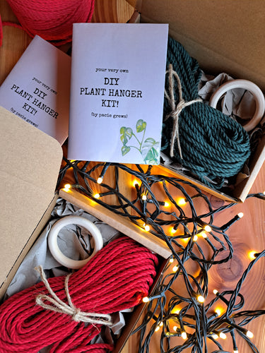 DIY Macrame Kits: Learn How to Macrame Plant Hangers – Pacie Grews